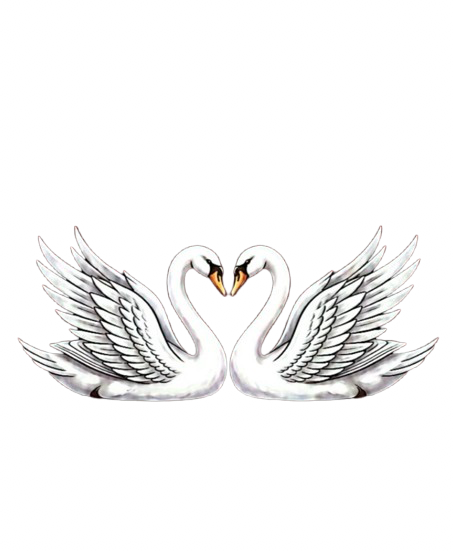 Swan Rings